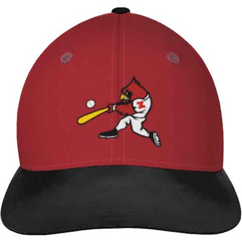 Mentor Baseball Swinging Card Cap